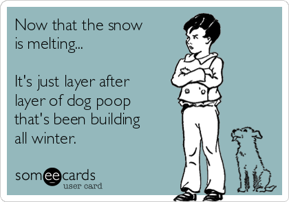 Now that the snow
is melting...

It's just layer after 
layer of dog poop 
that's been building
all winter.  
