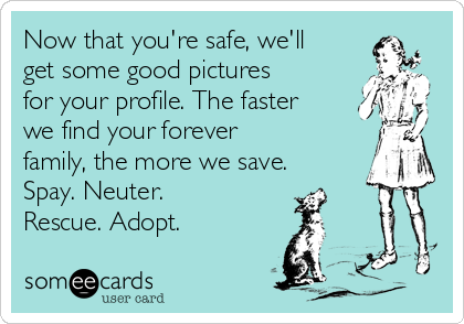 Now that you're safe, we'll
get some good pictures
for your profile. The faster
we find your forever
family, the more we save.
Spay. Neuter.
Rescue. Adopt.