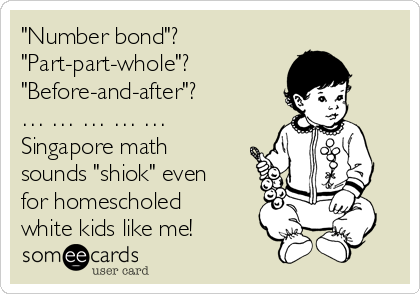 "Number bond"? 
"Part-part-whole"?
"Before-and-after"?
… … … … … 
Singapore math
sounds "shiok" even
for homescholed
white kids like me!