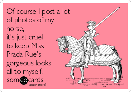 Of course I post a lot of photos oft horse, it's just cruel to keep Miss  Prada Rue's gorgeous looks all to myself. | Pets Ecard