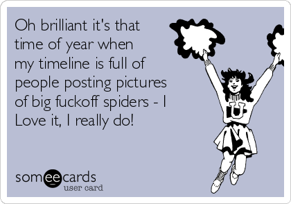 Oh brilliant it's that
time of year when
my timeline is full of
people posting pictures
of big fuckoff spiders - I
Love it, I really do!
