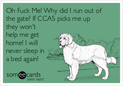 Oh Fuck Me! Why did I run out of
the gate? If CCAS picks me up
they won't
help me get
home! I will
never sleep in
a bed again!