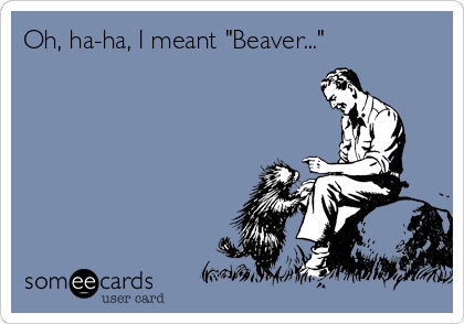 Oh, ha-ha, I meant "Beaver..."         
    