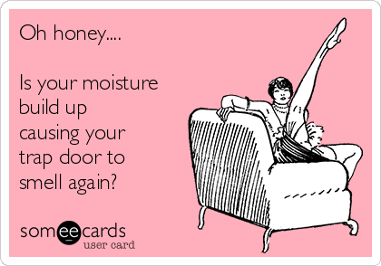 Oh honey....

Is your moisture
build up
causing your
trap door to
smell again?