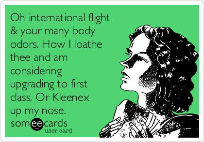 Oh international flight
& your many body
odors. How I loathe
thee and am
considering
upgrading to first
class. Or Kleenex
up my nose.