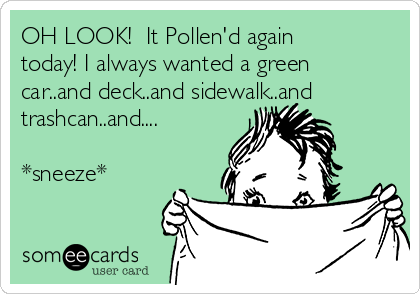 OH LOOK!  It Pollen'd again
today! I always wanted a green
car..and deck..and sidewalk..and
trashcan..and....

*sneeze*