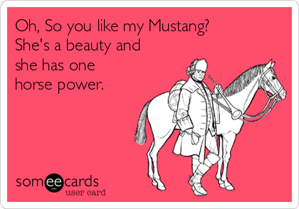 Oh, So you like my Mustang? 
She's a beauty and
she has one
horse power.