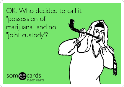 OK. Who decided to call it
"possession of
marijuana" and not
"joint custody"?