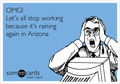 OMG!
Let's all stop working
because it's raining
again in Arizona