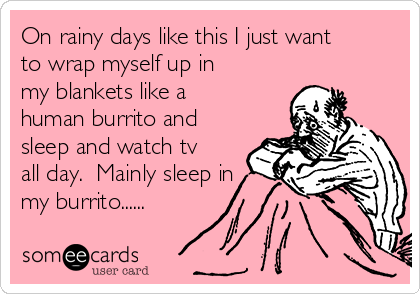 On rainy days like this I just want
to wrap myself up in
my blankets like a
human burrito and
sleep and watch tv
all day.  Mainly sleep in
my burrito...... 