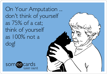 On Your Amputation ...
don't think of yourself
as 75% of a cat;
think of yourself
as 100% not a
dog!