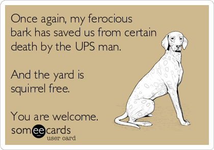 Once again, my ferocious
bark has saved us from certain
death by the UPS man.

And the yard is
squirrel free.

You are welcome.