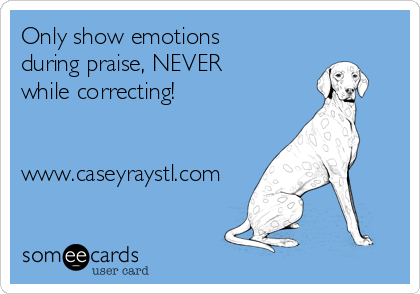 Only show emotions
during praise, NEVER 
while correcting!


www.caseyraystl.com
