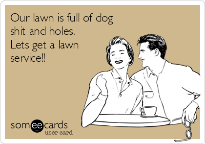 Our lawn is full of dog
shit and holes.
Lets get a lawn
service!!