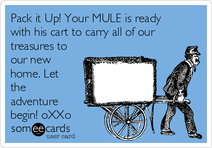 Pack it Up! Your MULE is ready
with his cart to carry all of our
treasures to
our new
home. Let
the
adventure
begin! oXXo
