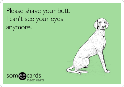 Please shave your butt.
I can't see your eyes
anymore.