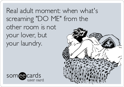 Real adult moment: when what's
screaming "DO ME" from the
other room is not
your lover, but
your laundry.