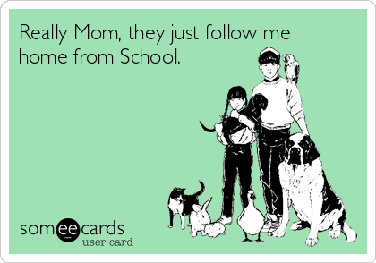 Really Mom, they just follow me
home from School. 