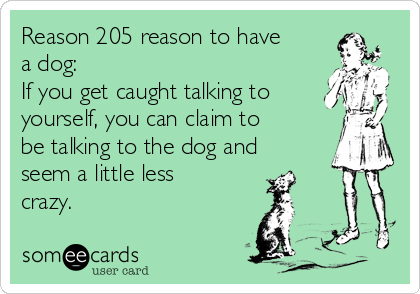 Reason 205 reason to have
a dog: 
If you get caught talking to
yourself, you can claim to
be talking to the dog and
seem a little less
crazy.