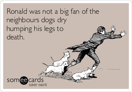 Ronald was not a big fan of the
neighbours dogs dry
humping his legs to
death.