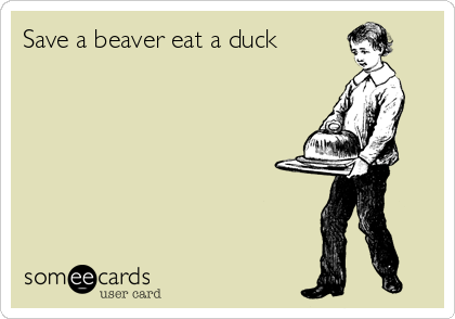 Save a beaver eat a duck
