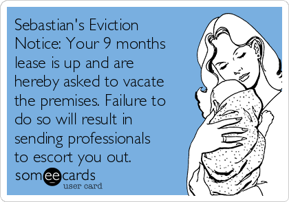 Sebastian S Eviction Notice Your 9 Months Lease Is Up And Are