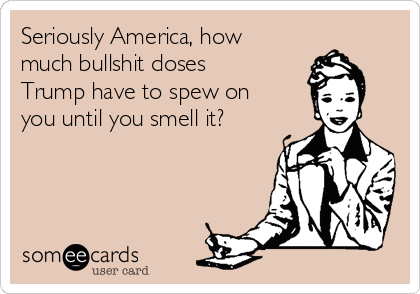 seriously-america-how-much-bullshit-doses-trump-have-to-spew-on-you-until-you-smell-it-1651b.png