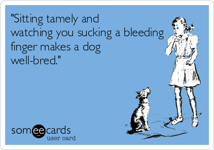 "Sitting tamely and
watching you sucking a bleeding
finger makes a dog
well-bred."