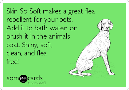 Skin So Soft makes a great flea
repellent for your pets.
Add it to bath water, or
brush it in the animals
coat. Shiny, soft,
clean, and flea
free! 