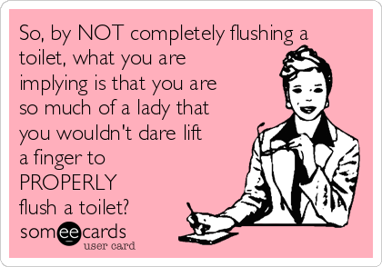 So, by NOT completely flushing a
toilet, what you are
implying is that you are
so much of a lady that
you wouldn't dare lift
a finger to
PROPERLY
flush a toilet?