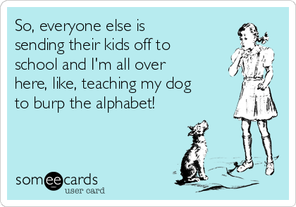 So, everyone else is
sending their kids off to
school and I'm all over
here, like, teaching my dog
to burp the alphabet!