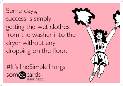Some days,
success is simply
getting the wet clothes
from the washer into the
dryer without any
dropping on the floor.

#It'sTheSimpleThings