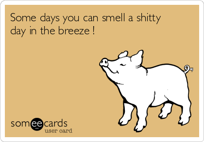 Some days you can smell a shitty
day in the breeze !