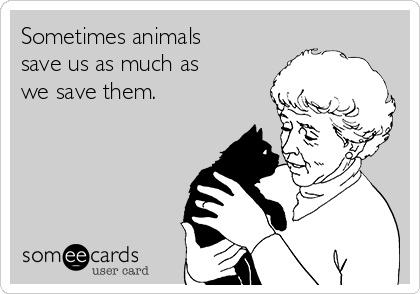 Sometimes animals 
save us as much as
we save them.