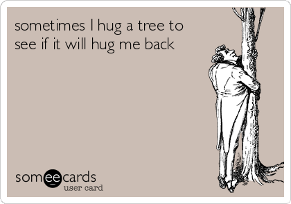 sometimes I hug a tree to
see if it will hug me back