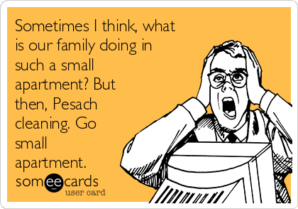 Sometimes I think, what
is our family doing in
such a small
apartment? But
then, Pesach
cleaning. Go
small
apartment.