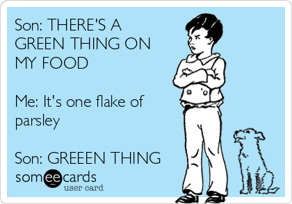 Son: THERE'S A
GREEN THING ON
MY FOOD

Me: It's one flake of
parsley

Son: GREEEN THING