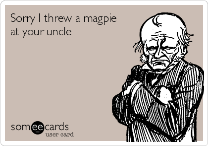 Sorry I threw a magpie
at your uncle
