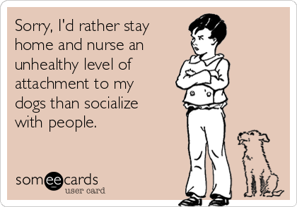 Sorry, I'd rather stay
home and nurse an 
unhealthy level of 
attachment to my
dogs than socialize
with people.