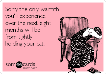 Sorry the only warmth
you'll experience
over the next eight
months will be
from tightly
holding your cat.
