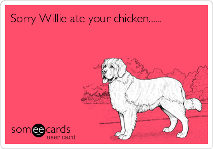 Sorry Willie ate your chicken......