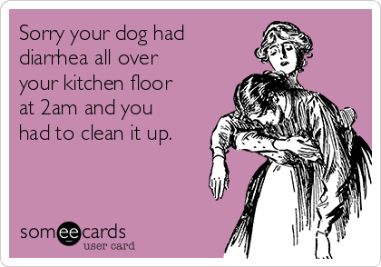 Sorry your dog had
diarrhea all over
your kitchen floor
at 2am and you
had to clean it up. 