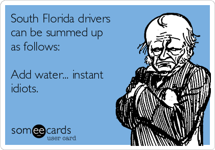 South Florida drivers
can be summed up
as follows:

Add water... instant
idiots.