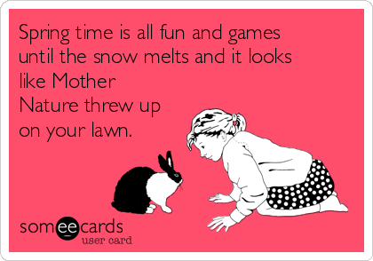 Spring time is all fun and games
until the snow melts and it looks
like Mother
Nature threw up
on your lawn.