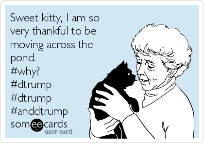 Sweet kitty, I am so
very thankful to be
moving across the
pond. 
#why?
#dtrump
#dtrump 
#anddtrump