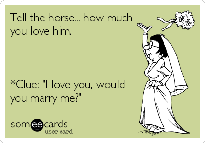 Tell the horse... how much
you love him.



*Clue: "I love you, would
you marry me?" 