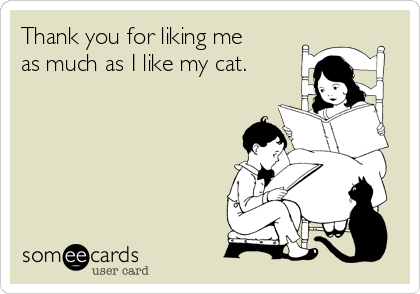 Thank you for liking me
as much as I like my cat.