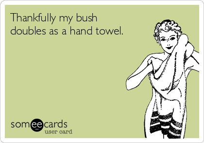 Thankfully my bush
doubles as a hand towel.