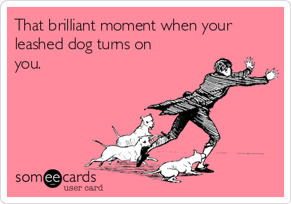 That brilliant moment when your
leashed dog turns on
you.