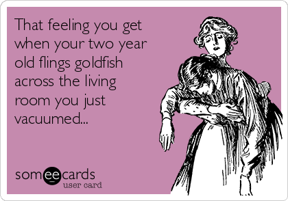 That feeling you get
when your two year
old flings goldfish
across the living
room you just
vacuumed... 